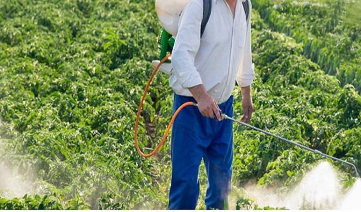 हिमाचल के किसानों को बड़ा झटका, कीटनाशक दवाइयों पर लगाया पूर्ण रूप से प्रतिबंध