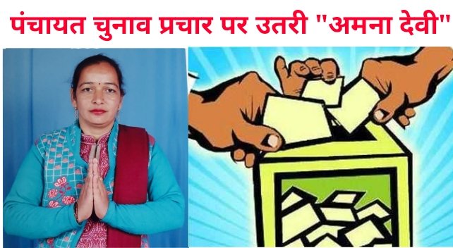 जंझेल पंचायत से अमना देवी की विकासात्मक सोच से जुड़ रहे स्थानीय लोग....