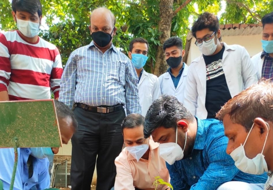 श्री धनवन्तरी आयुर्वेदिक कॉलेज एवं अस्पताल में पौध रोपण कर मनाया पर्यावरण दिवस।
