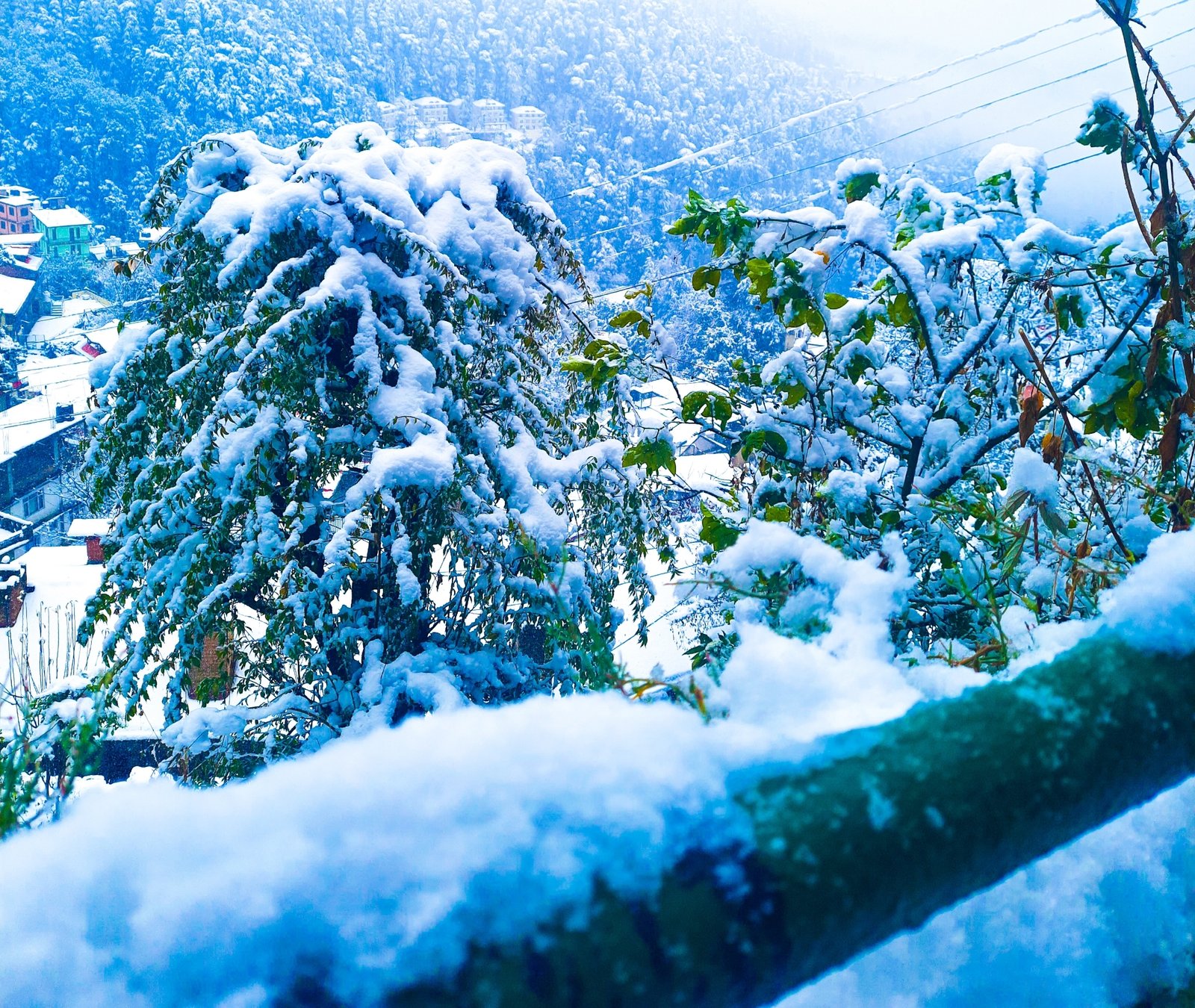 हिमाचल में 8 फरवरी तक खराब रहेगा मौसम, भारी बर्फबारी के चलते 677 सड़कें, 961 ट्रांसफार्मर ठप