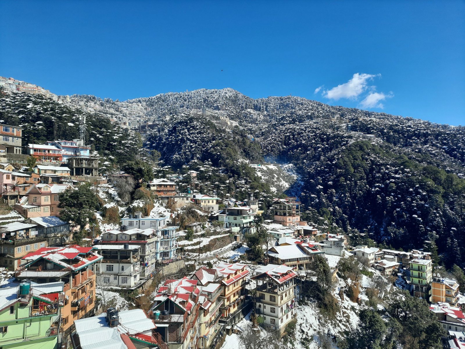 शिमला: नगर निगम चुनाव से पहले शहर में बनाए गए 7 नए वार्ड, जनता से मांगी आपत्तियां