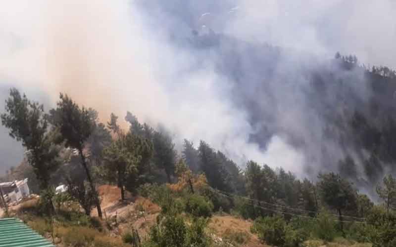 शिमलाः जंगल में बेकाबू हुई आग, रिहायशी इलाके तक पहुंची, लोगों में हड़कंप