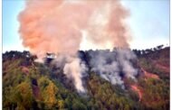 जलता हिमाचल: 47 दिन में 1350 आगजनी की घटनाओं से दहली देवभूमि