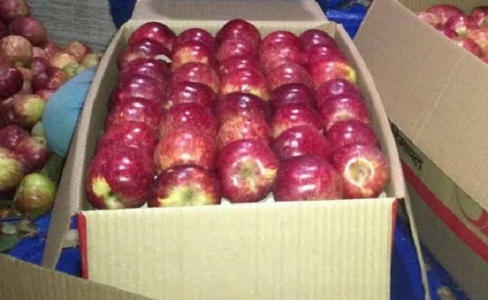 सेब कार्टन के फिर बढ़े दाम, पैकिंग ट्रे की बढ़ी कीमतें, ग्रेडिंग मशीनों में भी जीएसटी बढ़ाने की तैयारी,   सेब बागवान खासे परेशान।