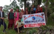 स्वर्ण भूमि युवक मंडल बगशाड़ द्वारा  पंचायत भर में चलाया अभियान, महिला मंडलों के सहयोग से  किए पौधारोपण।