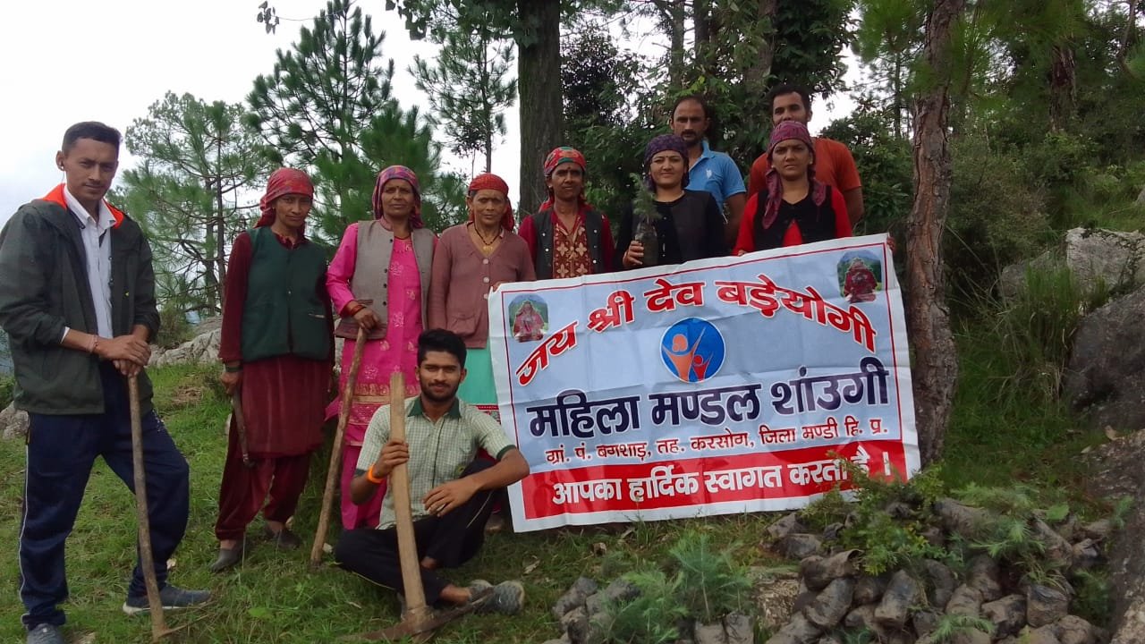 स्वर्ण भूमि युवक मंडल बगशाड़ द्वारा  पंचायत भर में चलाया अभियान, महिला मंडलों के सहयोग से  किए पौधारोपण।