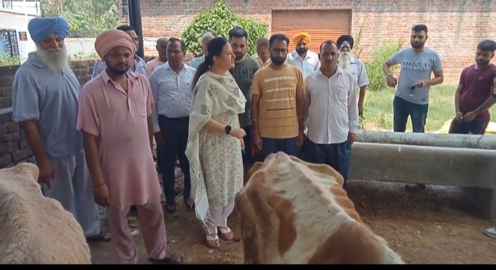 पंजाब सरकार लम्पी  वायरस रोकने में नाकाम :- भाजपा नेता निमिषा मेहता।