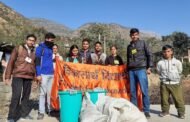 SFD  शिमला की इकाई सुन्नी द्वारा  किया गया सफाई अभियान