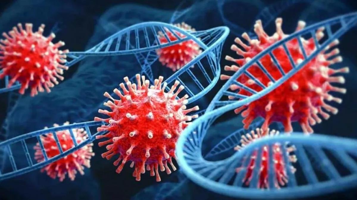 Corona Update: कोरोना के खतरनाक XBB.1.5 सुपर वैरिएंट की भारत में एंट्री, गुजरात में मिला पहला मामला।