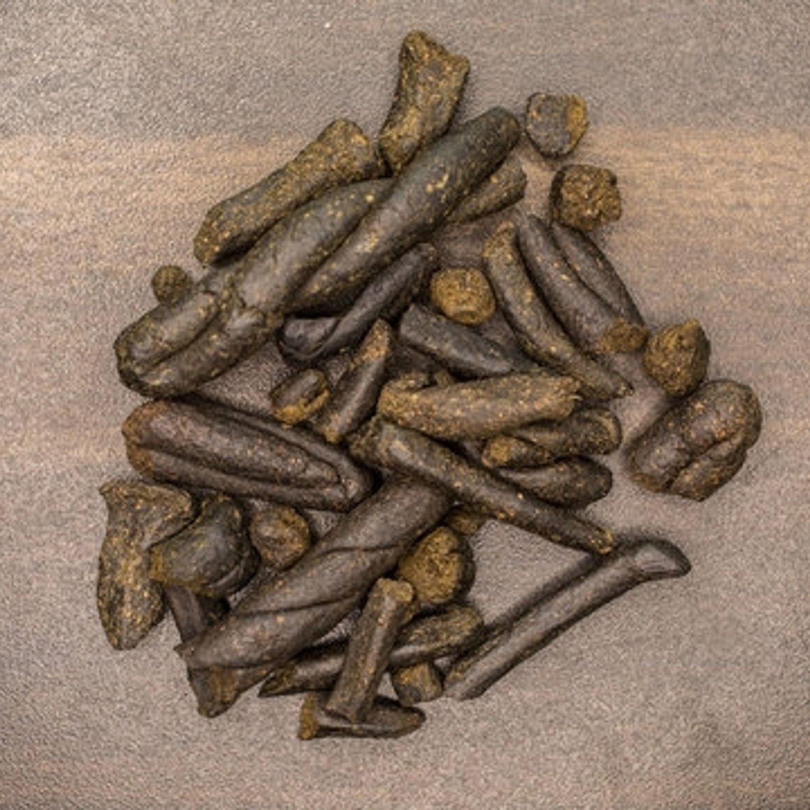 पठानकोट-चम्बा एनएच पर नाकाबंदी के दौरान राहगीर से 862 ग्राम चरस बरामद