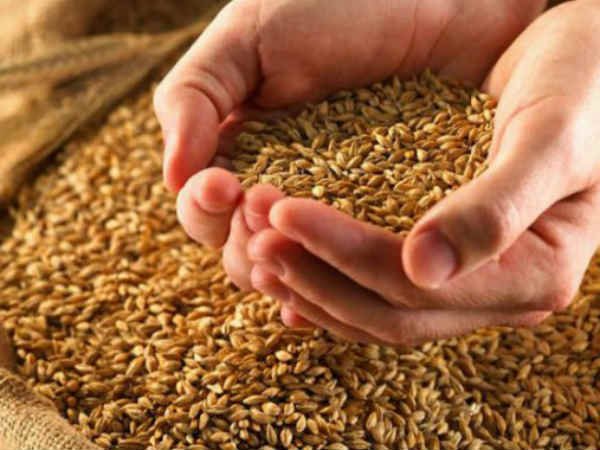 नए साल पर केन्द्र सरकार का तोहफा: NFSA उपभोक्ताओं को पहली जनवरी से मिलेगा मुफ्त गेंहू, आटा व चावल।