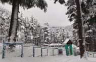 सफेद रंग में लिपटी नारकंडा, मनाली और कुफरी