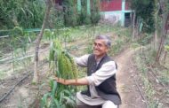 20 साल से प्राकृतिक खेती के लिए नेक राम शर्मा को मिला पद्मश्री