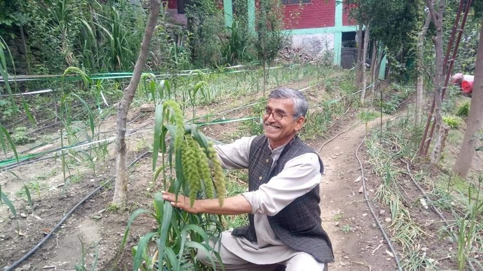 20 साल से प्राकृतिक खेती के लिए नेक राम शर्मा को मिला पद्मश्री
