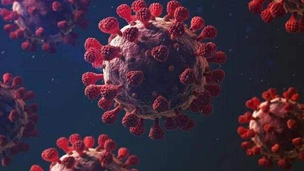 हिमाचल में कोरोना से 19 वर्षीय युवती की मौत