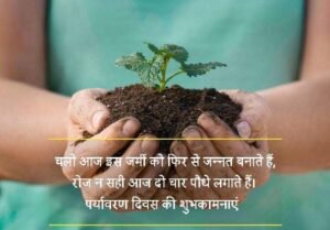 WhatsApp Image 2023-06-04 at 11.30.16 PM